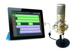 iPad Microphone